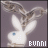 Pixelated bunny icon with blue eyes and brown ears, displaying 'BUNNI' text in white and blue on a gray background.