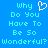 Pixelated blue background with light blue text reading "why Do You Have To Be So Wonderful?" and a white heart symbol replacing the 'o' in 'Why' on the left side.