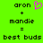 Green background displays text 'aron' with pink heart icon, plus 'mandie', equals 'best buds' in pixelated font.