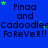 Blue background with repeated text "Pinaa and Cadoodles FOREVER!!" in black pixelated font, green stars scattered throughout.