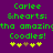 Green pixelated text on purple background reads 'Carlee &hearts; tha amazin? Coodles!' with yellow and brown heart icons below.
