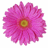 A static pixelated pink flower with a yellow center on white background.