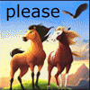 Four- shows two horses in a landscape with changing text and symbols above them