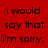 Red background with black text reading 'i would say that i'm sorry, but i won't lie to you.' and a large red broken heart symbol.