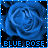 Blue rose with pixelated text 'BLUE ROSE' below, displayed in a of identical frames with subtle color variations