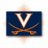 Pixelated icon with large white 'V' over crossed orange swords on dark blue background, framed by light gray border.