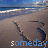 Animated sequence showing a stylized brown horse head against blue sky background with text changing from 'someday' to 'my prince will come...' in light blue font.