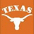 Orange background with white 'TEXAS' text arched above a longhorn silhouette, two identical static frames visible.