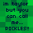 Green pixelated background with dark blue text reading 'im taylor but you can call me... PICKLES!!' repeated in a pattern