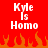 Red background with white pixelated text 'Kyle Is Homo' and orange pixelated flames at the bottom.