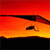 A static 50x50 pixel buddy icon depicting a stylized silhouette of an aircraft in flight against a gradient sunset sky with horizontal bands of red, orange, and yellow.