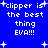 Blue background with white pixelated text reading 'clipper is the best thing EVA!!!' and scattered plus signs, displayed in a of four identical sections