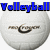 Four white volleyball images arranged in a , each with distinct text overlays and one ball featuring a logo