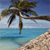 Pixelated beach scene with palm tree, sandy shore, and blue water under clear sky.