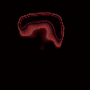 Red and blue pixelated shape with curved edges on black background, showing subtle animation changes between frames.