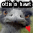 Pixelated image of a cow's face with text "ott is haxt" above it, featuring brown eyes and a red heart-shaped mark on the right side.