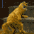 Animated contact sheet of a yellow cartoon cat performing a dance sequence across seven frames on a dark background with stone-like structures.