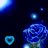 Animated contact sheet of a blue rose icon with cyan text and heart symbols on dark background, showing frame-by-frame changes in visible text.