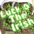 Animated green text 'LUCK OF THE IRISH' on brown textured background with white outline, showing subtle pixel shifts across frames.