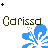 Blue flower-like icon with radiating petals and a central swirl, paired with brown text reading 'Carissa' above each instance.