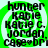 Green and white pixelated icon with repeated text 'hunter Katie Katie C. Jordan case=br' in black font, arranged vertically within a circular green border.