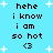 Pixelated text and symbols on a light blue background with white starbursts, showing two identical vertical of text and symbols