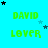 identical green text pairs 'DAVID' and 'LOVER' on a cyan background with scattered black and blue stars
