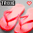 Two side-by-side pixelated images of pink flip-flops with red straps, each featuring a black 'TRIXIE' text box and heart symbol above them.