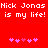 Red background with white pixelated text repeating 'Nick Jonas is my life!' and two of pink heart symbols