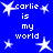 Blue background with white pixelated text 'carlie is my world' repeated four times, surrounded by white star shapes.