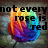 A rainbow-colored rose with green leaves on a gray stone background, accompanied by black text reading "not every rose is red" and "be different."