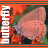 A pixelated image of a pink butterfly with green and orange background, featuring vertical text on the left side.
