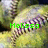 A baseball with green text overlays showing different names and numbers across frames.