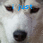A pixelated dog face with blue text overlays reading 'i just adore dogs!' across three
