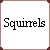 A 2x2 contact sheet of a pixel art animation featuring text and a squirrel character, with one frame showing the full phrase "Squirrels are invading the world" and another displaying the squirrel in motion.