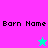 Two pixelated star icons on a split background with 'Born Name' text above each star.