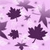 Purple maple leaves and star shapes float on a light purple pixelated background with scattered small squares.