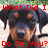 Pixelated image of a dog's face with red text overlays reading "What Did I Stop Animal" and "Do To You? Cruelty!!!!!".