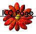 Red flower with yellow center and black text "ICQ Page" overlaid, displayed in a of six identical static images