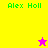 Four quadrant with yellow, pink, and coral backgrounds displaying green text "Alex Holl" and two pixelated star icons in different positions