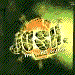 Animated icon shows a swirling green and orange pattern transitioning to a blue circular emblem with yellow text.