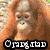 Four show an orangutan in different poses with text overlays; the top-left has a brown background, top-right green foliage, bottom-left grassy ground, and bottom-right blurred greenery