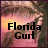 Pixelated image with text "Florida Gurl" over a sunset background featuring a person with light hair.