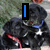 A black dog with a blue collar and white star on chest appears in four with changing text overlays