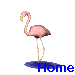 Pink flamingo avatar with yellow beak and legs stands on blue water-like base, text 'Home' appears below leftmost frame.