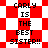 Red and white checkered background with black text reading "CARLY IS THE BEST SISTER!!" in two identical sections.