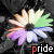 Animated rainbow flower icon with changing text color across frames, displayed in a contact sheet layout.