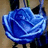 A static pixelated image of a blue rose with layered petals, set against a blurred background of brown and dark tones.