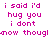 Pixelated pink text on white background repeats 'i said i'd hug you i dont know though' in two identical horizontal sections.