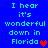 Blue background with cyan pixelated text reading "I hear it's wonderful down in Florida" and a heart symbol, displayed twice side-by-side.